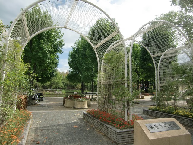楠葉中央公園写真