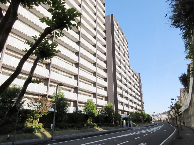 前道写真