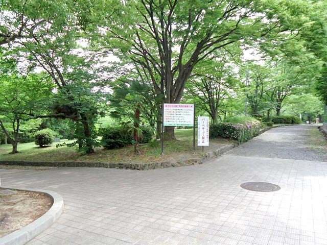 さくら近隣公園