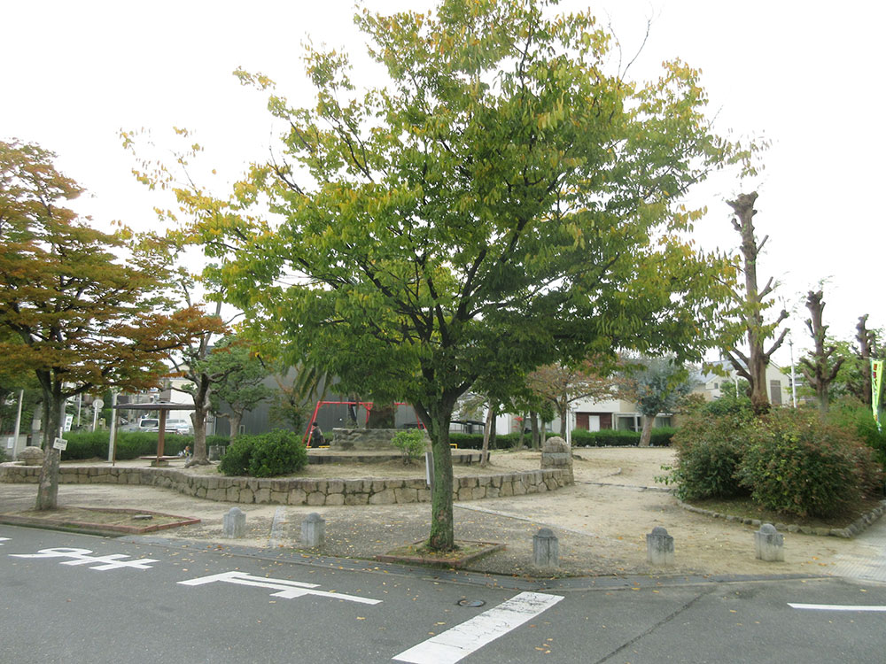 山原公園写真