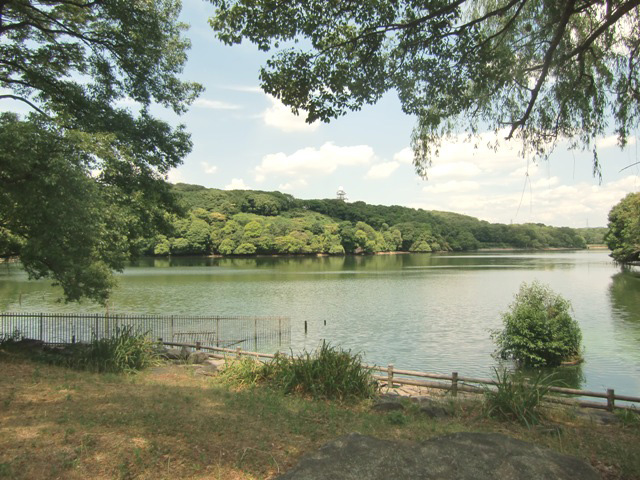 山田池公園写真