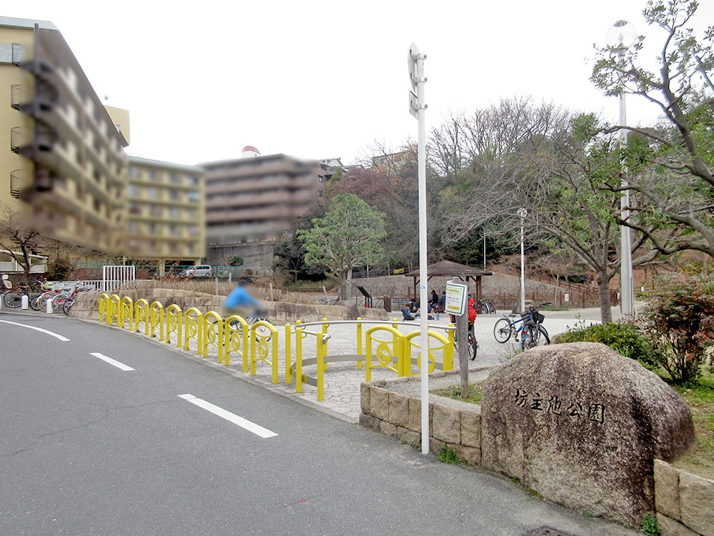 坊主池公園写真