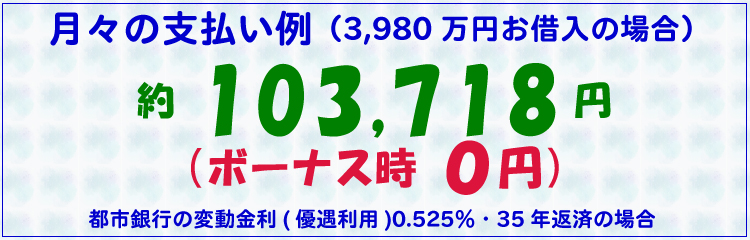 月々の支払い例