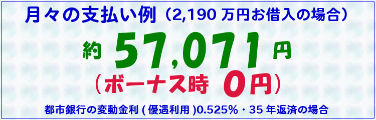月々の支払い例