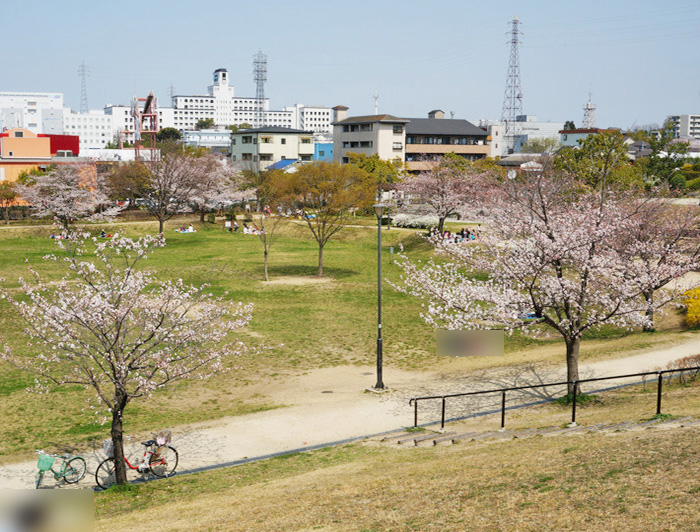 北山公園写真