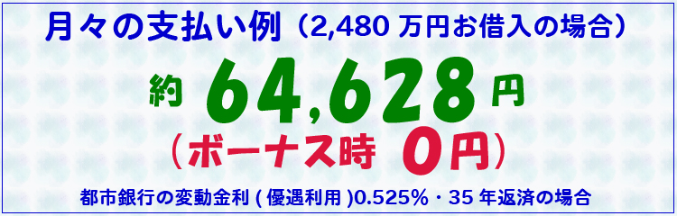 月々の支払い例