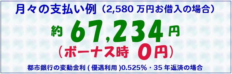 月々の支払い例