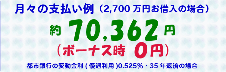 月々の支払い例