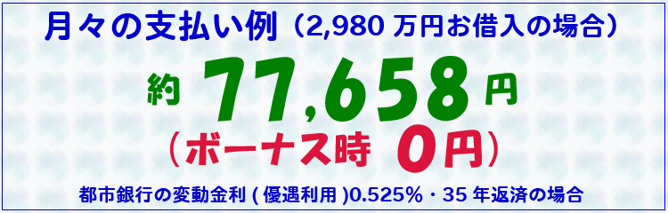 月々の支払い例
