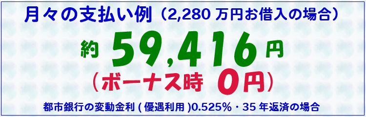 月々の支払い例