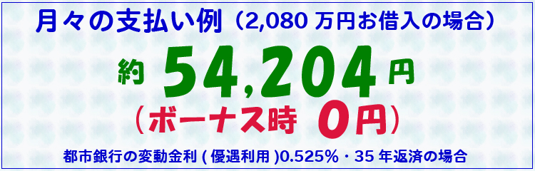 月々の支払い例