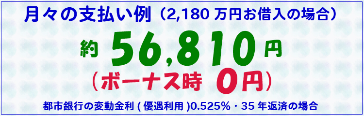 月々の支払い例