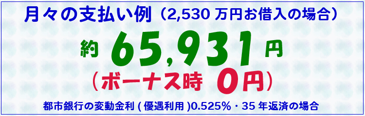 月々の支払い例