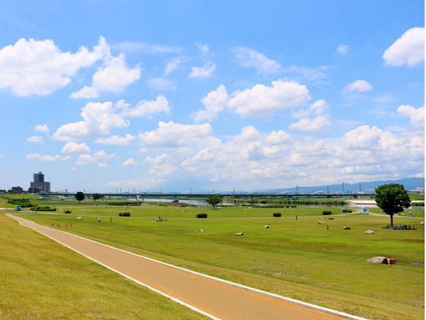 淀川公園写真