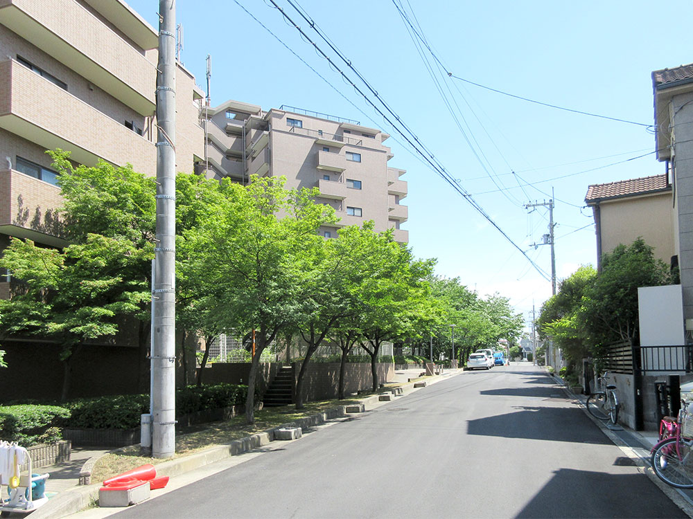 前面道路写真