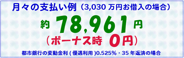 月々の支払い例