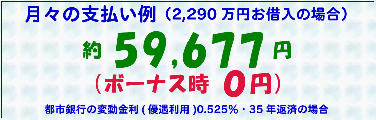 月々の支払い例