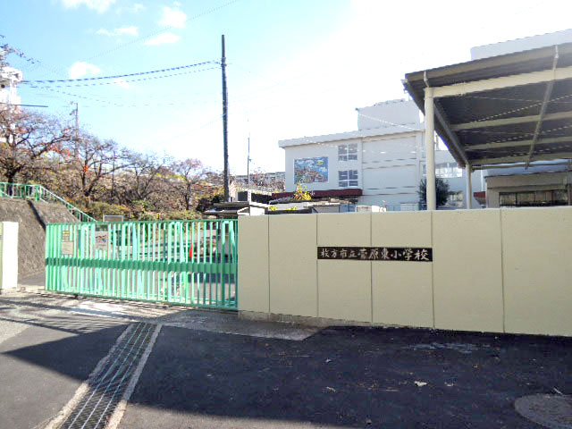 菅原東小学校写真