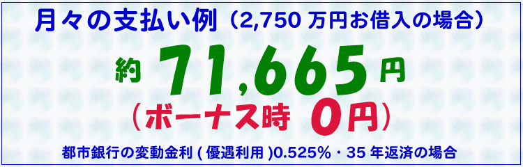 月々の支払い例