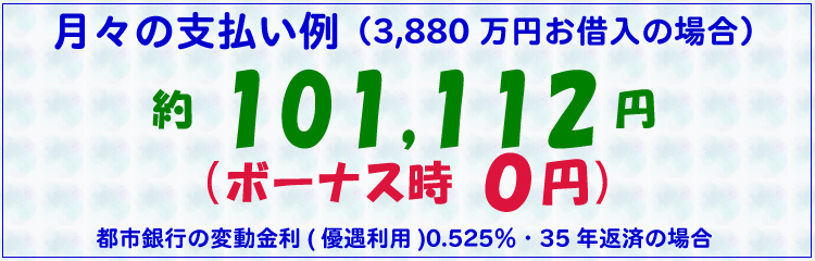 月々の支払い例
