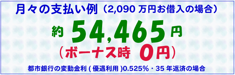 月々の支払い例