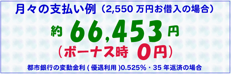 月々の支払い例