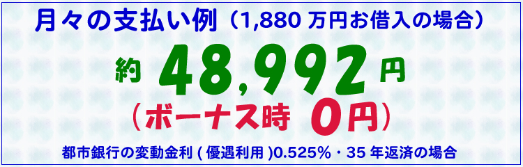 月々の支払い例