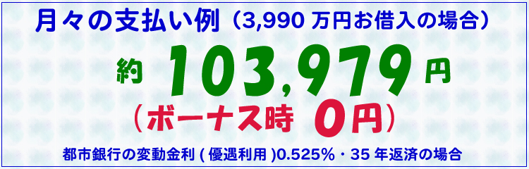 月々の支払い例