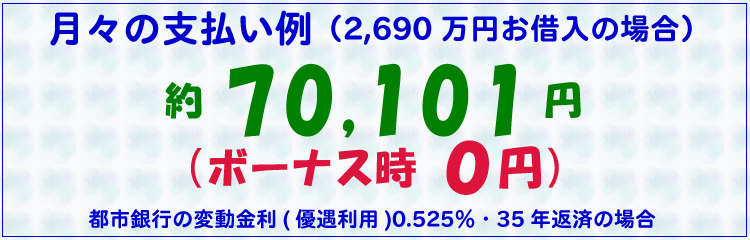 月々の支払い例
