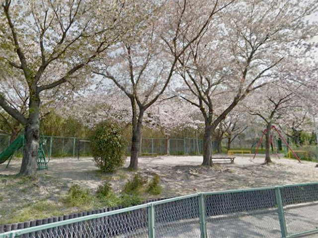 中振中央公園写真