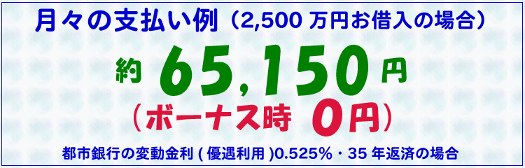 月々の支払い例