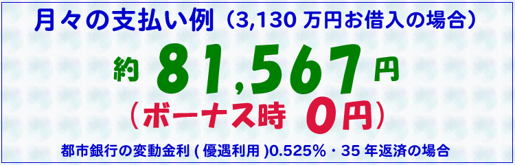月々の支払い例