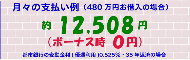 月々の支払い例