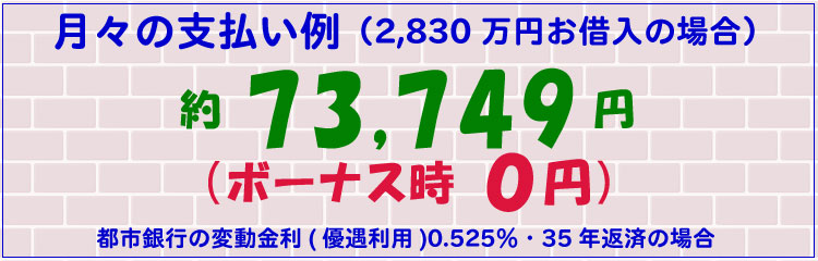 月々の支払い例