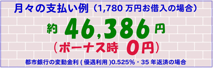 月々の支払い例