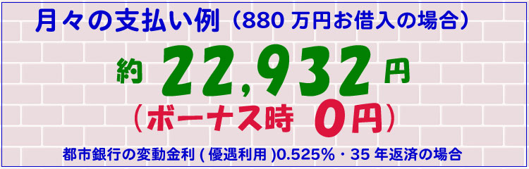 月々の支払い例