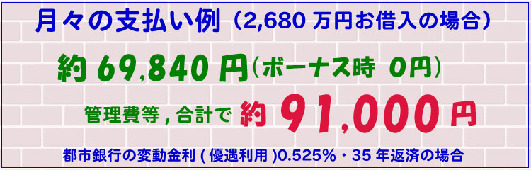 月々の支払い例