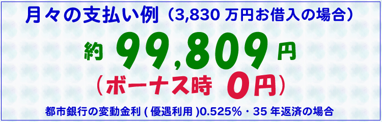 月々の支払い例