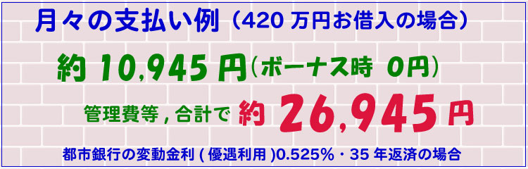 月々の支払い例