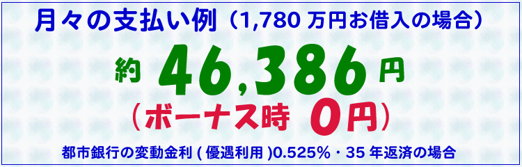 月々の支払い例