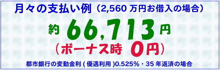 月々の支払い例