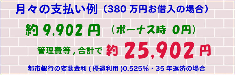 月々の支払い例