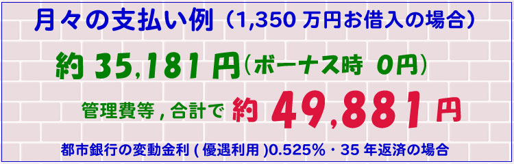 月々の支払い例