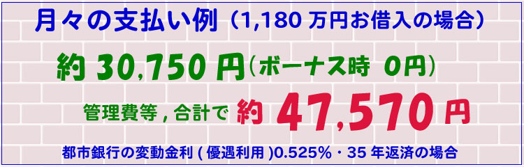 月々の支払い例