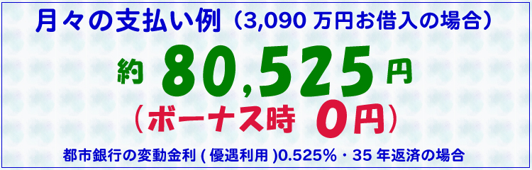 月々の支払い例