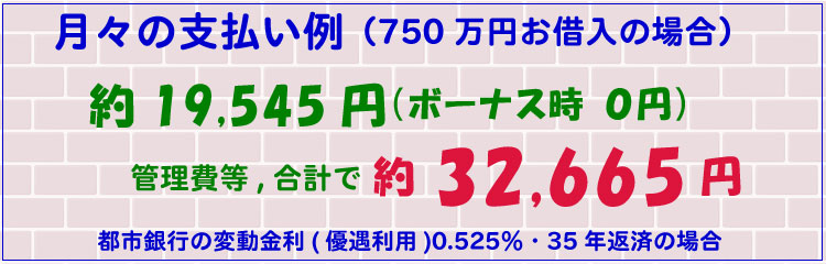 月々の支払い例
