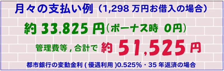 月々の支払い例