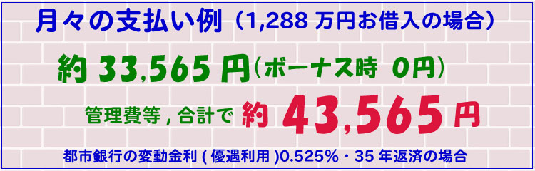 月々の支払い例