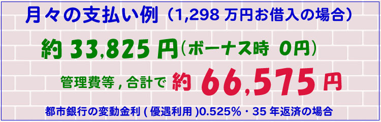 月々の支払い例