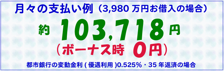 月々の支払い例